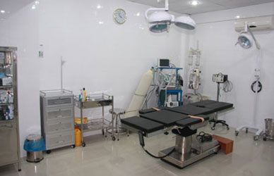 Image Caption
