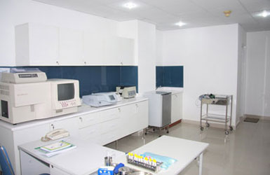Image Caption