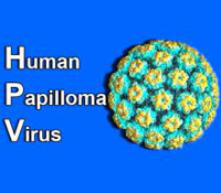 Human-Papilloma-Virus-HPV