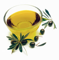 dau-olive