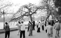 Bệnh Alzheimer