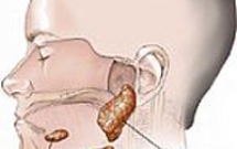 Hỏi đáp về bệnh quai bị